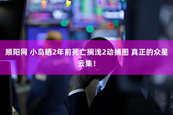 顺阳网 小岛晒2年前死亡搁浅2动捕图 真正的众星云集！