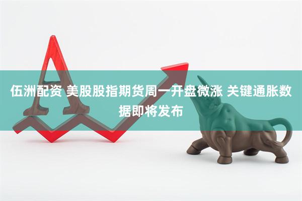 伍洲配资 美股股指期货周一开盘微涨 关键通胀数据即将发布
