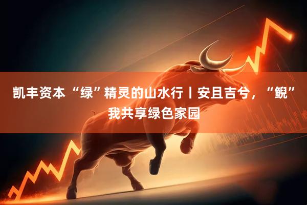 凯丰资本 “绿”精灵的山水行丨安且吉兮，“鲵”我共享绿色家园