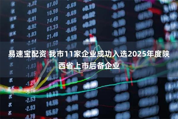 易速宝配资 我市11家企业成功入选2025年度陕西省上市后备企业
