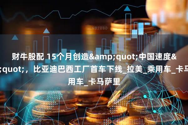 财牛股配 15个月创造&quot;中国速度&quot;，比亚迪巴西工厂首车下线_拉美_乘用车_卡马萨里